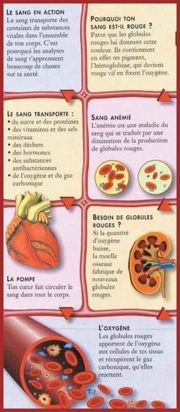 Le Sang