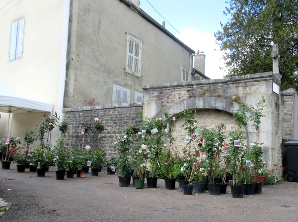 "La 20ème foire aux graines, Jardin et Nature" a eu  lieu le 20 mai 2018 à Recey sur Ource