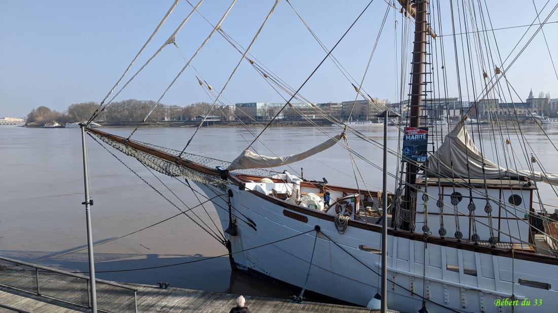Le carnaval de Bordeaux (5 Mars 2023)