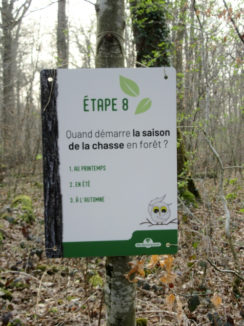 "Vis ma vie de forestier"