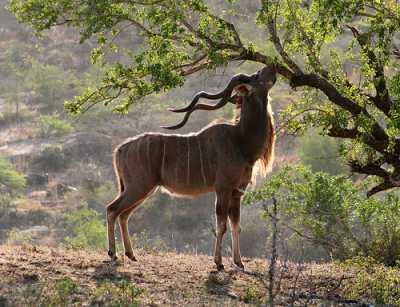 Pour  se protéger ,  