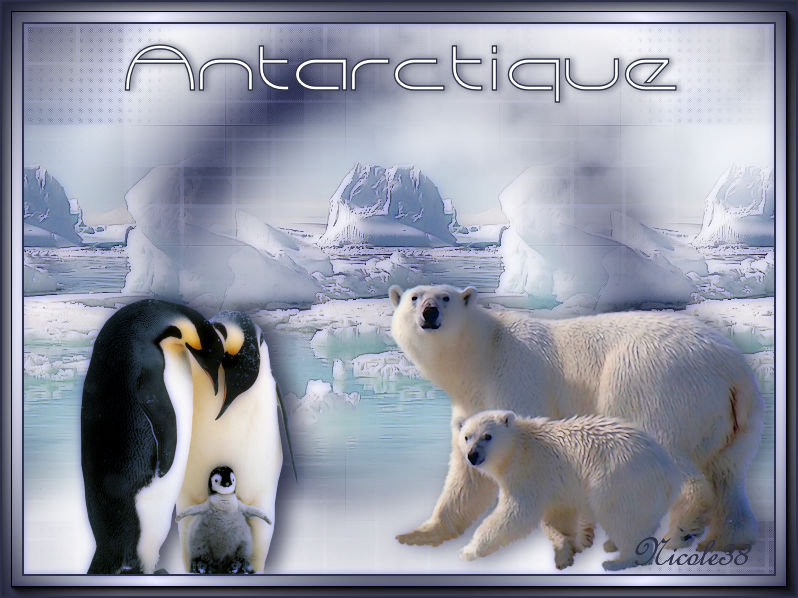 Antarctique - Page 2 200120123215165297