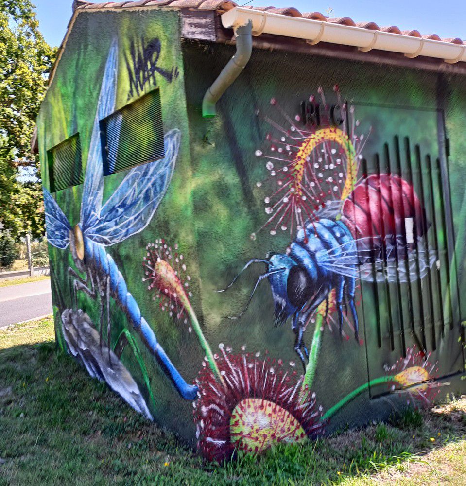 Street-art dans la ville : libellule, serpent et abeille...