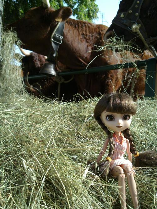 Encore des tracteurs!