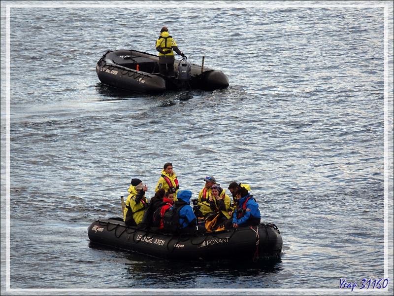 5 mars 2019 : nous mouillons à South Harbour en vue de notre premier débarquement - New Island - Falkland - Grande Bretagne