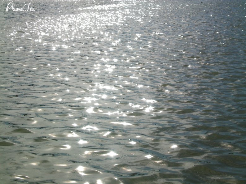 Image007.jpg