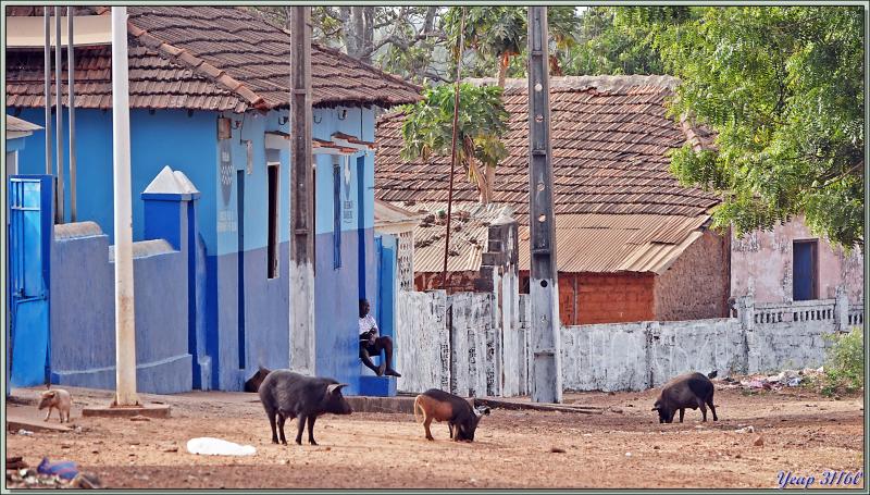 Errance dans les rues surchauffées de Bolama - Ile de Bolama - Bijagos - Guinée Bissau