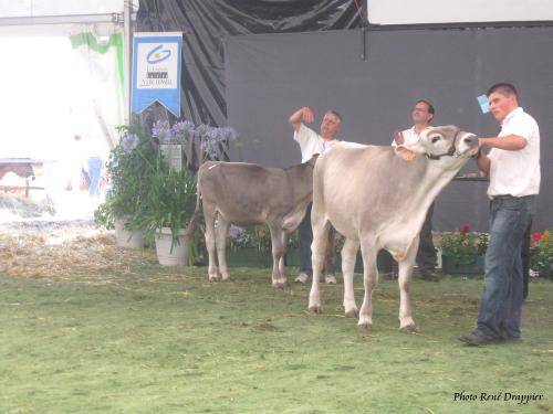 Les Journées Châtillonnaises 2009
