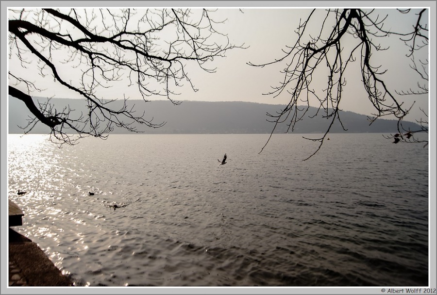 Images "volatiles"
