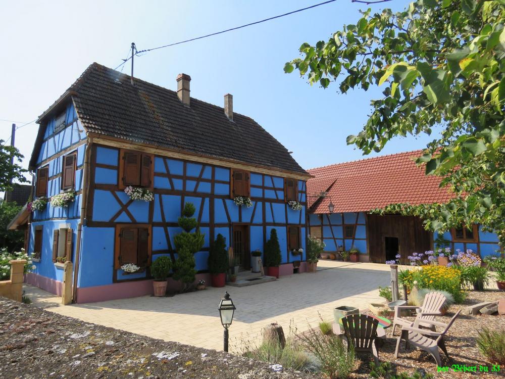 Balade à vélo depuis Fessenheim -3