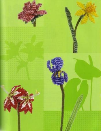 Mes déboires avec les perles