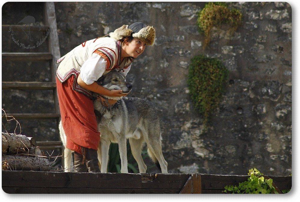 Des chevaux, des loups et des hommes...