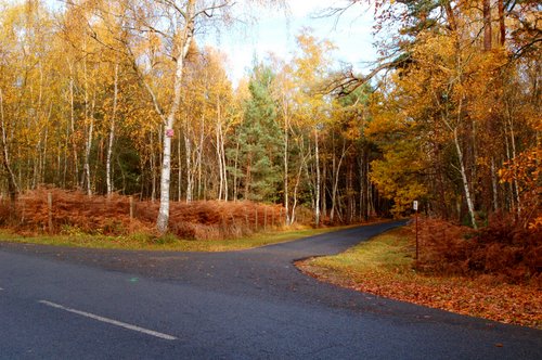 Gambais dans les Yvelines (1ère partie)