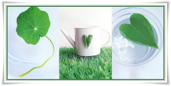 Un tendre "grelot" ...