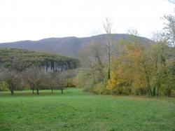 Juste avant confinement ....