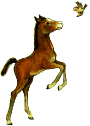 chevaux