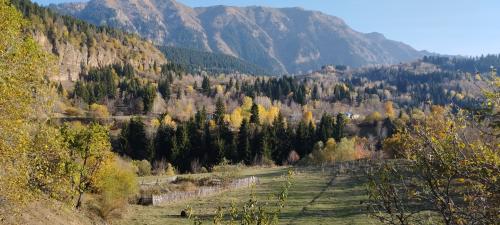ARTVIN et la montagne 2/2