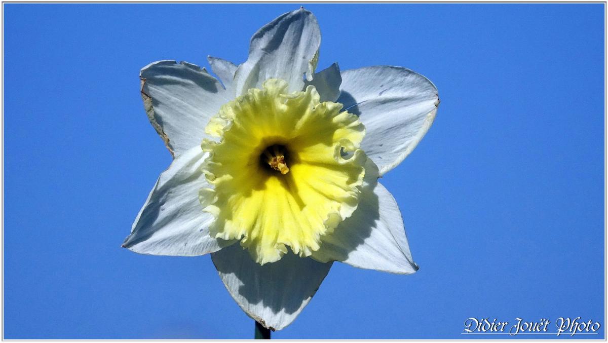 Balade / Vendredi 22 Mars 2019