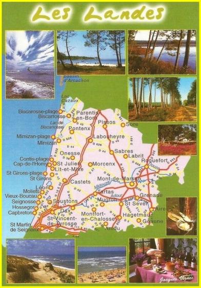 ⊱♥⊱╮ღ꧁  40 LES LANDES ꧂ღ ⊱♥≺  