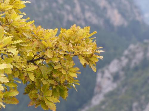 Le Hameau du Poil (Verdon)