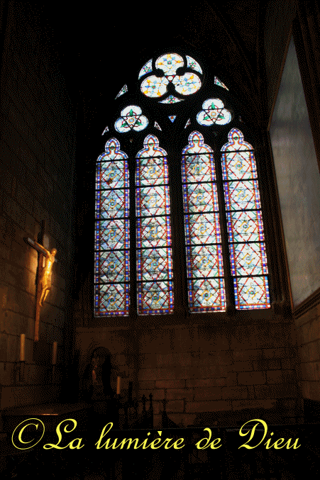 La cathédrale Notre-Dame de Paris