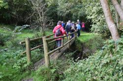 La randonnée du 6 octobre à Fontenay-le-Pesnel