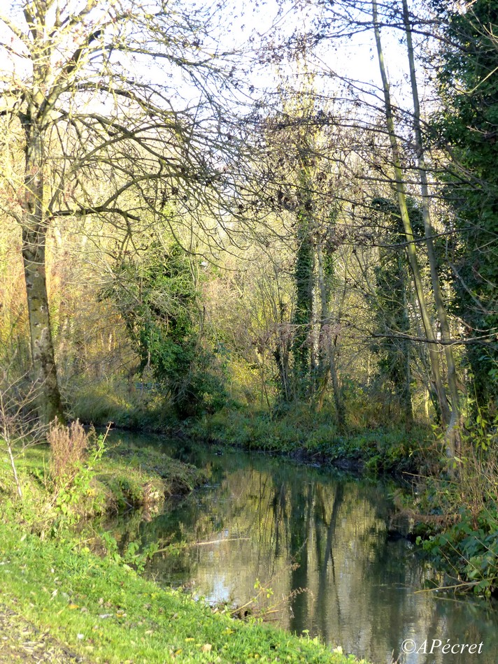 Une ville verte en hiver