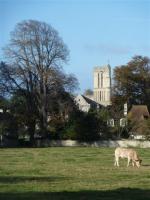 La randonnée du 3 novembre à Lion-sur-Mer