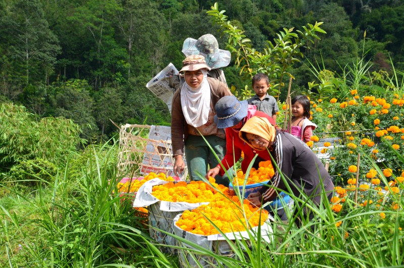 kintamani bali schnoebelen