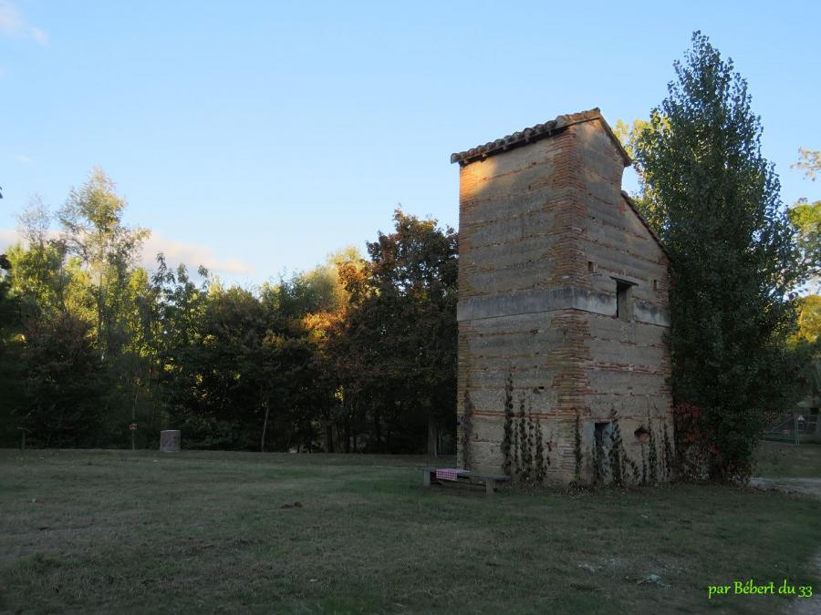 Nègrepelisse  (82)