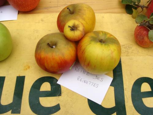 La fête de la pomme à Laignes
