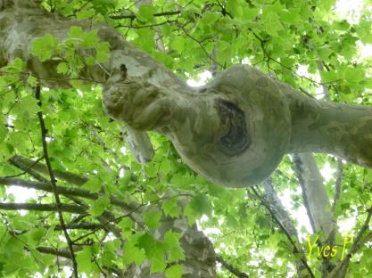 La page de Yves P.‏