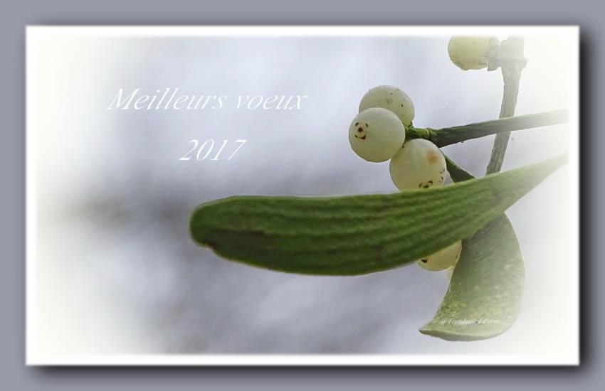 Bonne Année 2017 