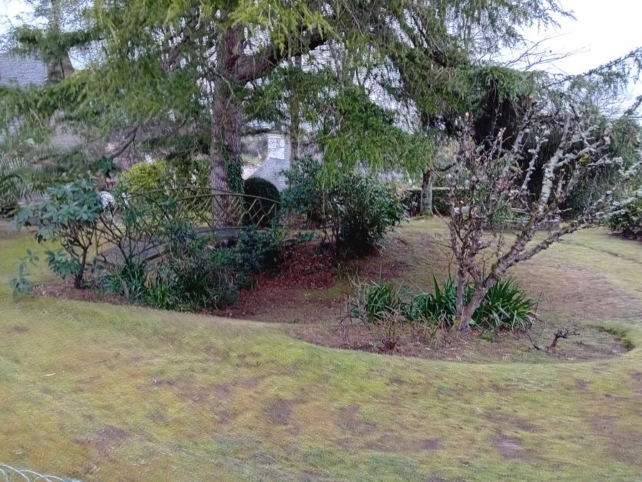  jeudi et les jardins en hiver 