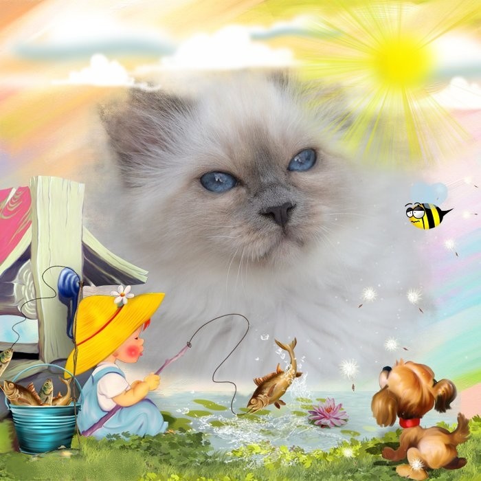 Chat pousse !