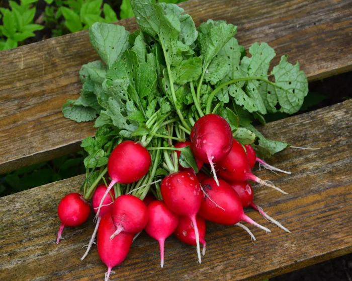 Légumes du mois de Février