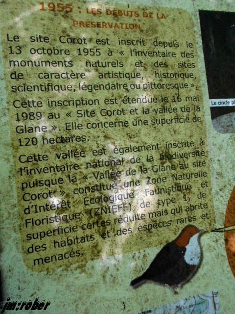 Saint Junien : Randonnée au site Corot et la vallée de la glane  (2)