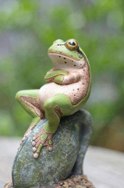 Le coucou du vendredi, haïku, senryû, sans vacances...