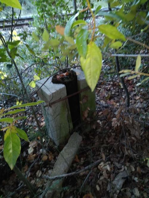 Campement abandonné, rebus de cyclo : Forêt à l'Orée de la ville