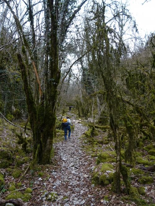 "Combe Chaudron" - Mercredi 03 mars 2021