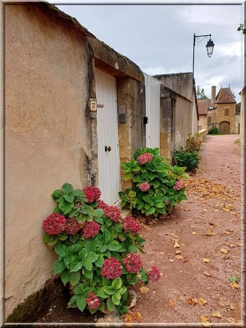 1029 - Semur en Brionnais en Saône-et-Loire (71)
