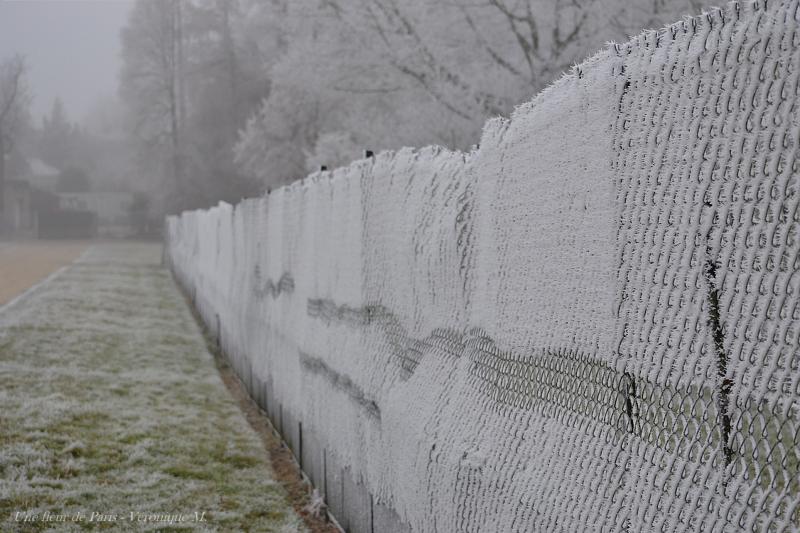 Pollution : de la neige "industrielle" blanchit certaines régions