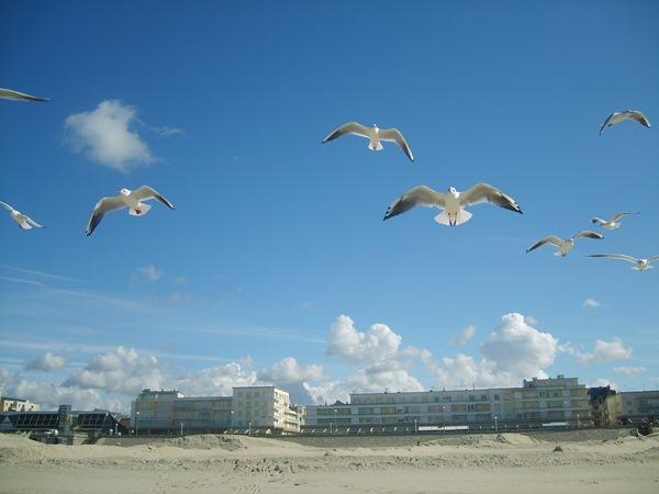 "Escapade" ... 