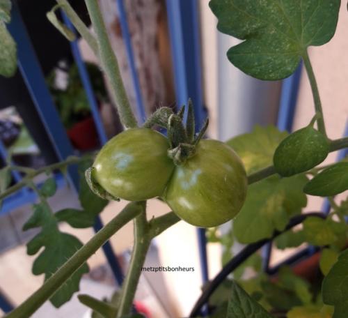 ...des "insolites" de juillet, ça vous dit?