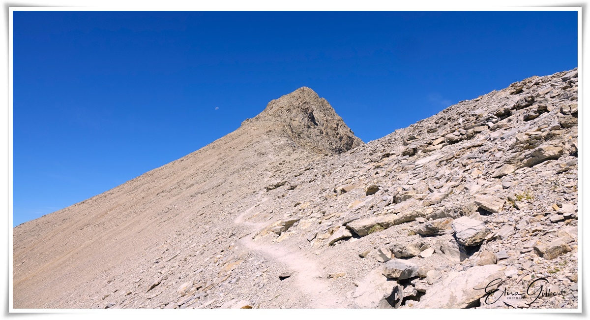 Arrivée au Mont Pelat