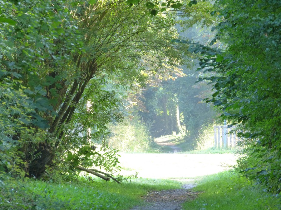 Autour d'Amiens, des trésors ...