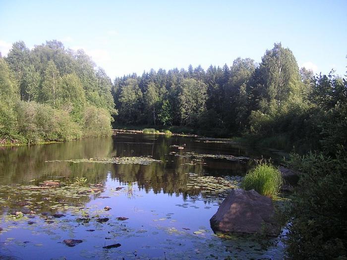 La Finlande dans l'Europe