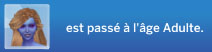 [NSBC] Une colocation étudiante un peu particulière