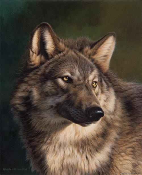 Peinture de :
