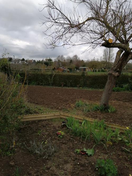 Mon jardin se réveille